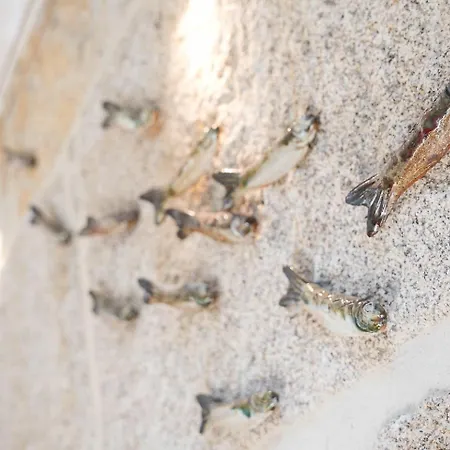 Guestready - Porto's Charming Escape * Porto